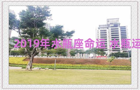 2019年水瓶座命运 水瓶运势2019年